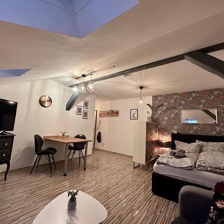 Apartment Zum Roten Fuchs Inkl. Parkplatz Erfurt Exteriör bild